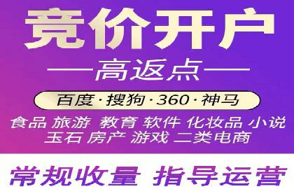 百度SEO推广公司案例分享：行业佼佼者经验